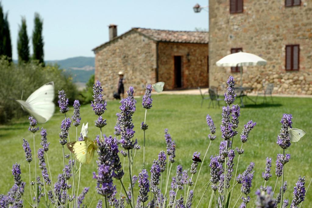 Tenuta Casabianca Murlo Ruang foto