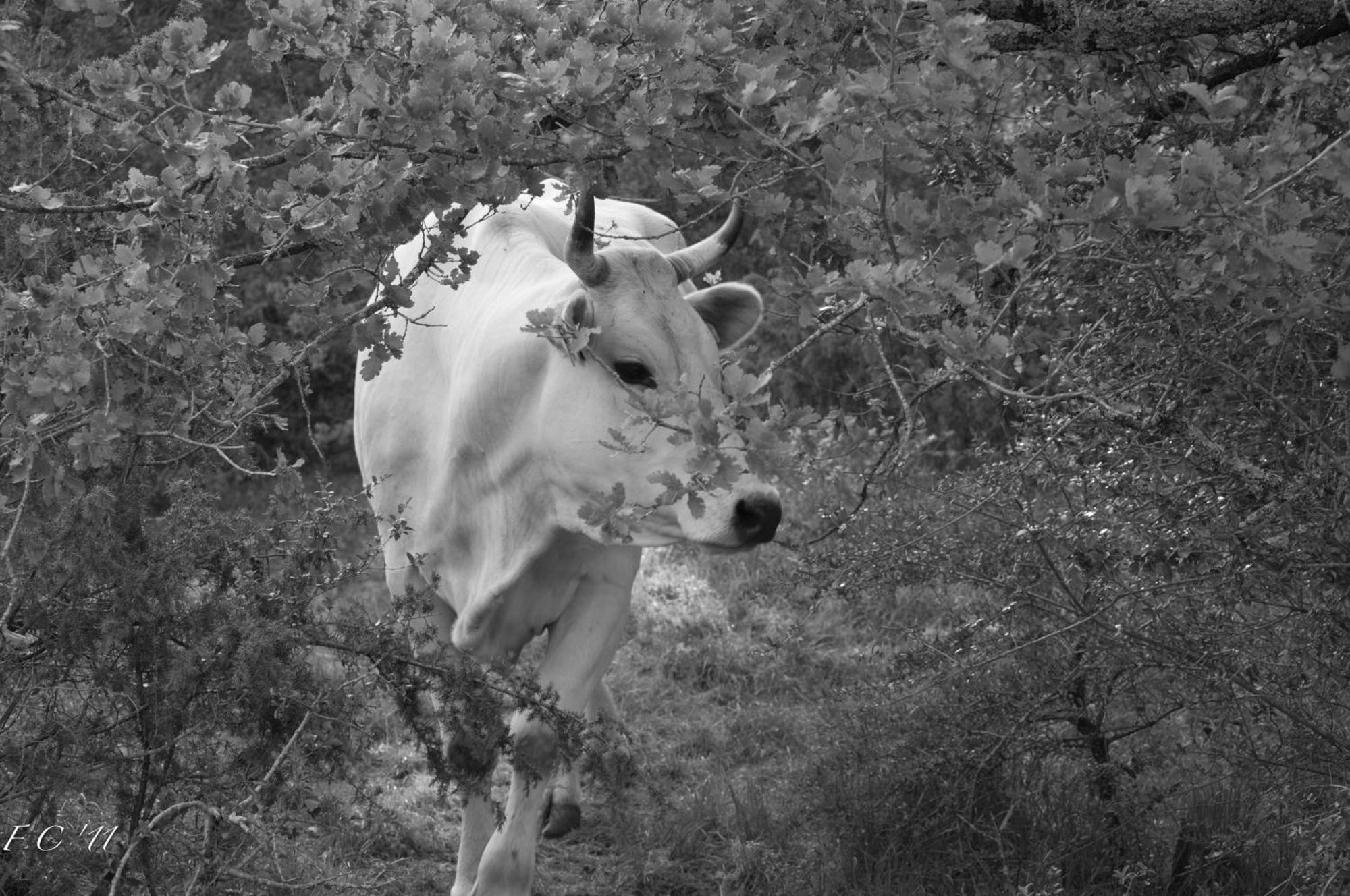 Tenuta Casabianca Murlo Bagian luar foto
