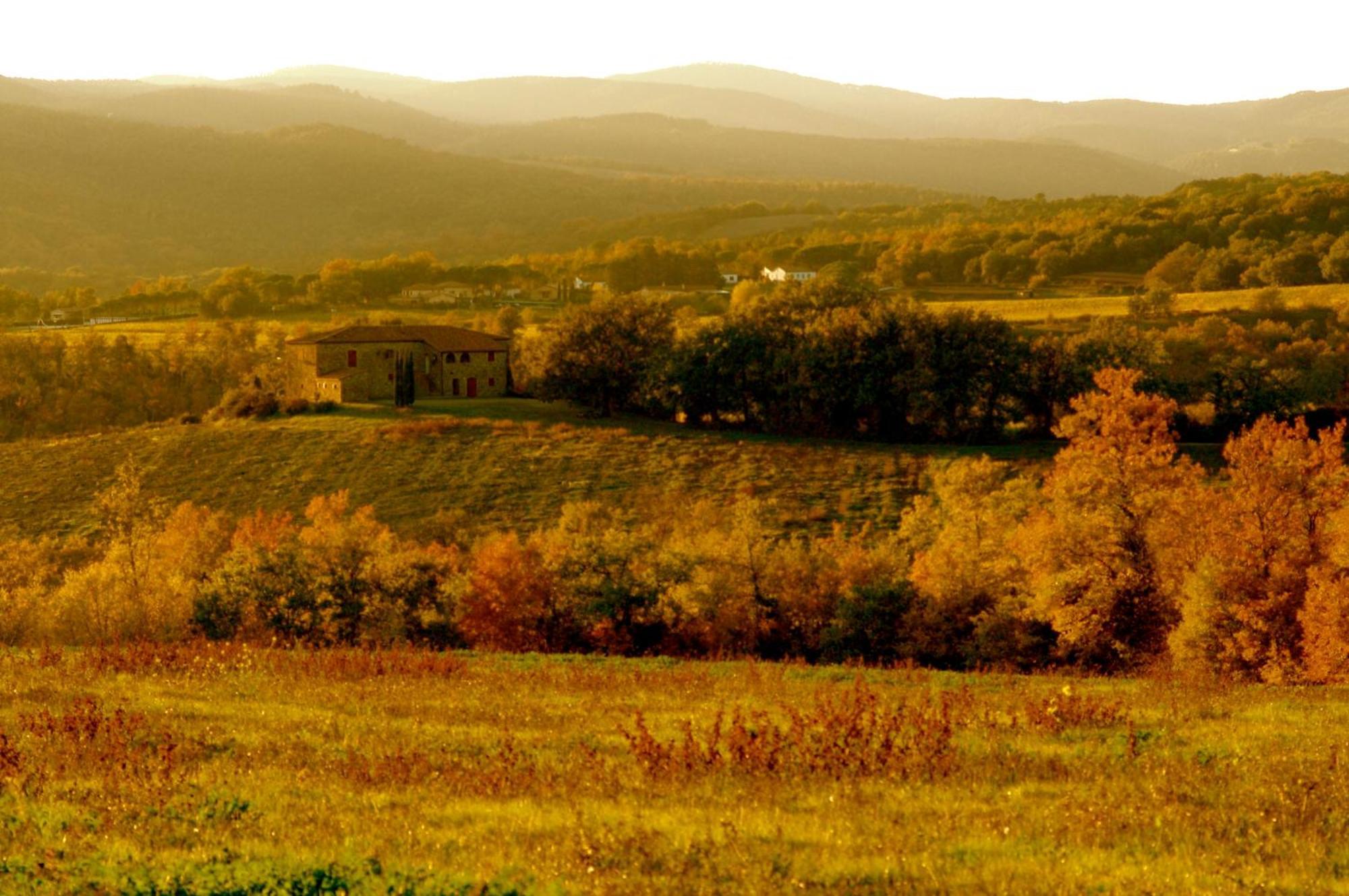 Tenuta Casabianca Murlo Bagian luar foto