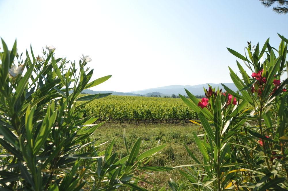 Tenuta Casabianca Murlo Bagian luar foto