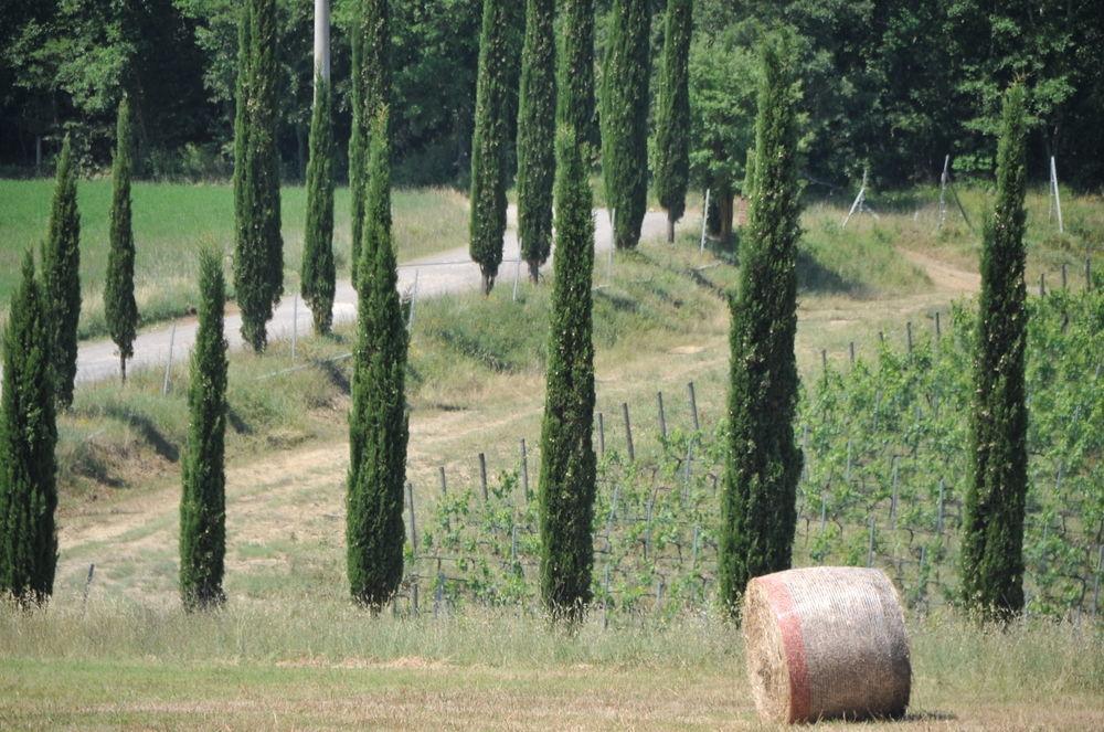 Tenuta Casabianca Murlo Bagian luar foto