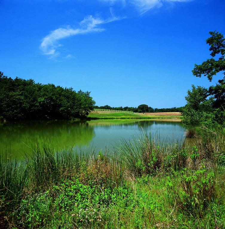 Tenuta Casabianca Murlo Bagian luar foto
