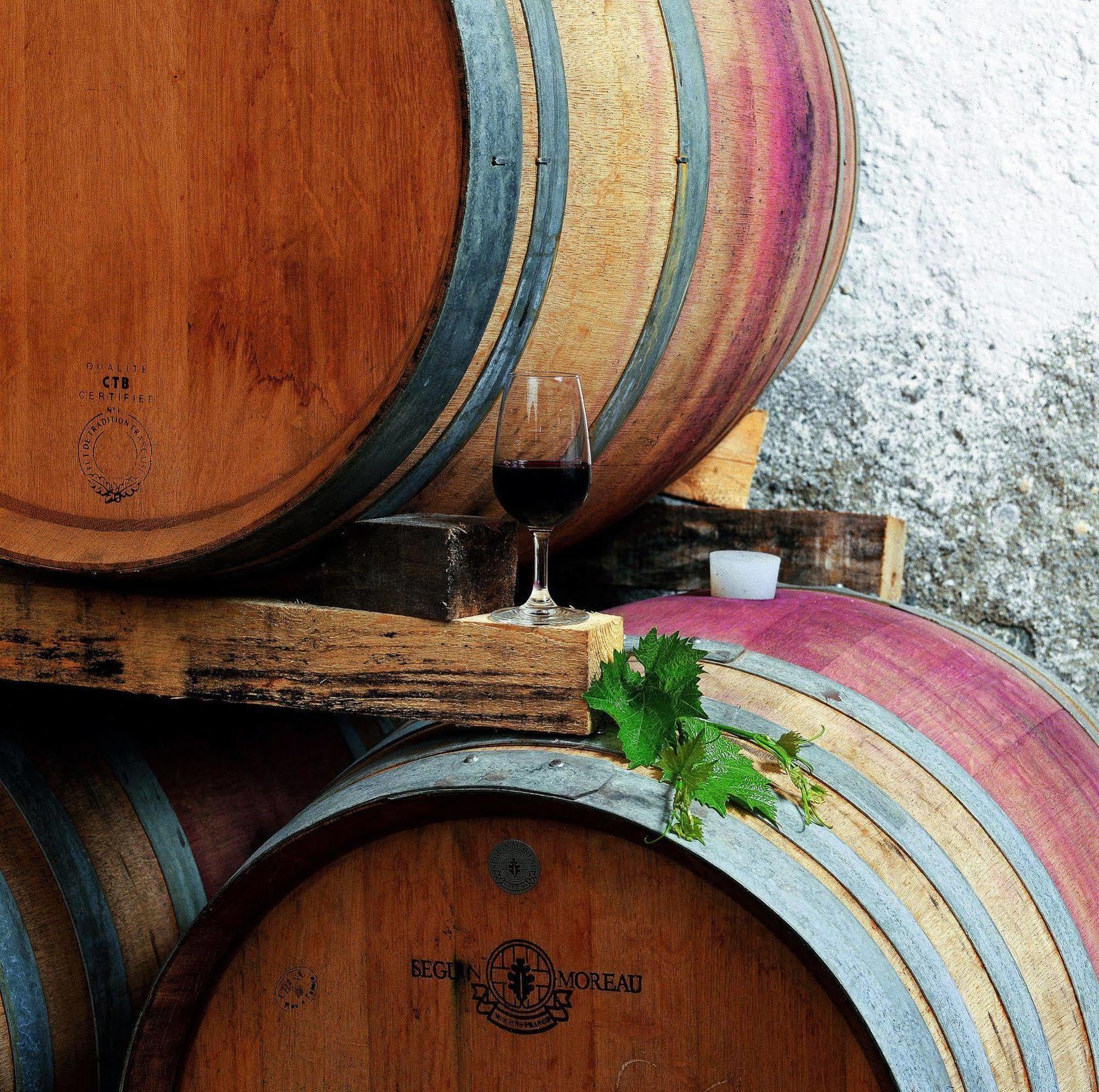 Tenuta Casabianca Murlo Bagian luar foto